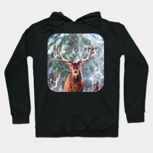 Reindeer Snow Time Hoodie